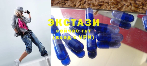 дживик Богородск
