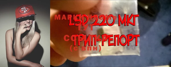 твердый Сосновый Бор