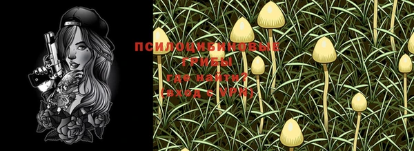 mdma Богданович
