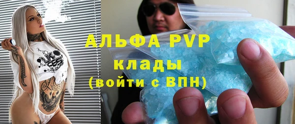 дживик Богородск