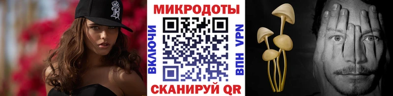 Галлюциногенные грибы Psilocybine cubensis  где купить   мориарти наркотические препараты  Буйнакск 